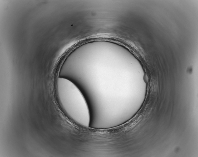 X0000099301406200805020746