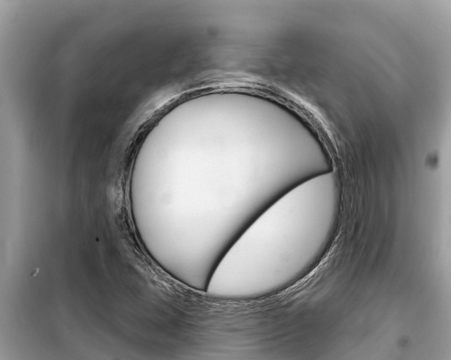 X0000099301407200805020746
