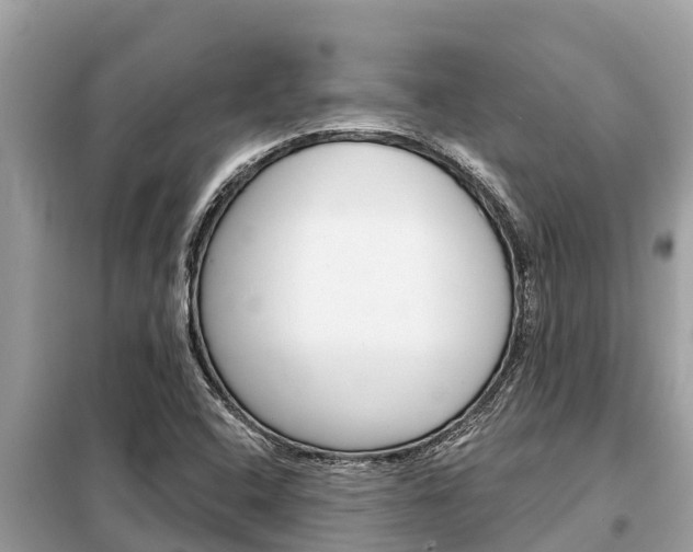 X0000099301408200805020746
