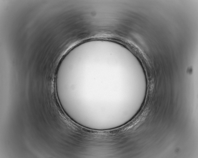 X0000099301409200805020746
