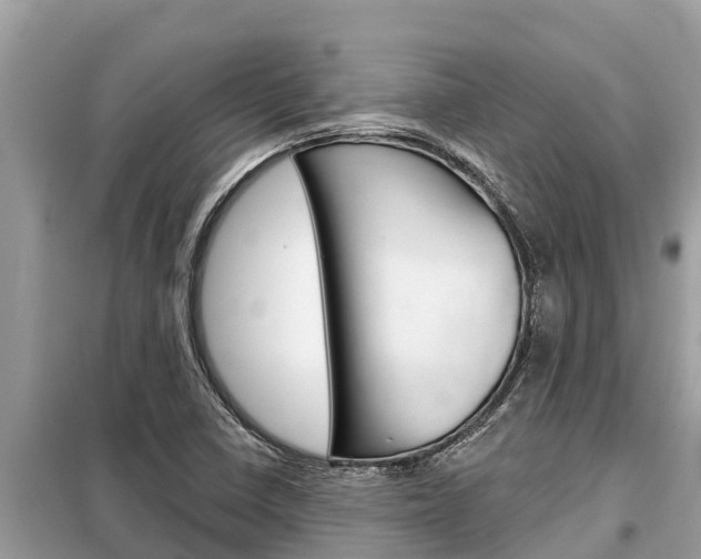 X0000099301410200805020746