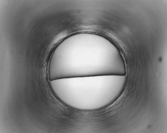 X0000099301411200805020746
