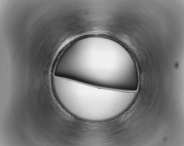 X0000099301412200805020746