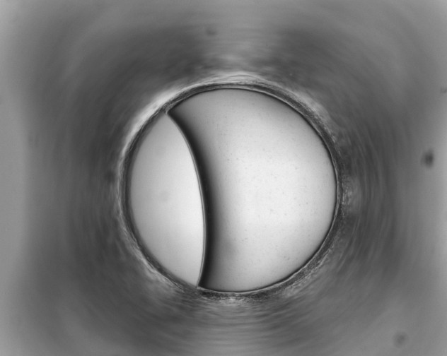 X0000099301414200805020746