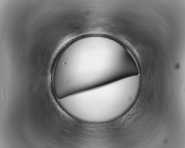 X0000099301416200805020746