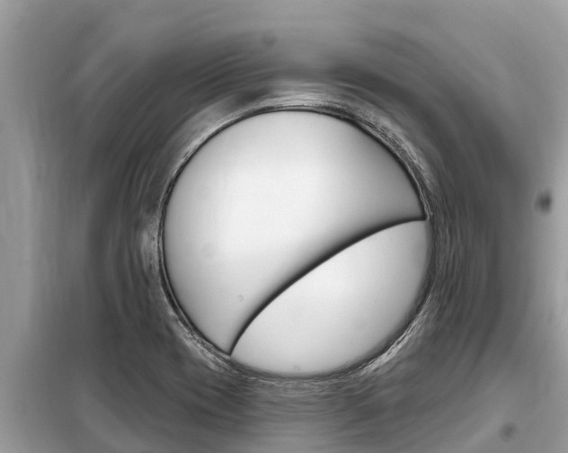 X0000099301417200805020746