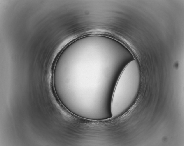 X0000099301418200805020746