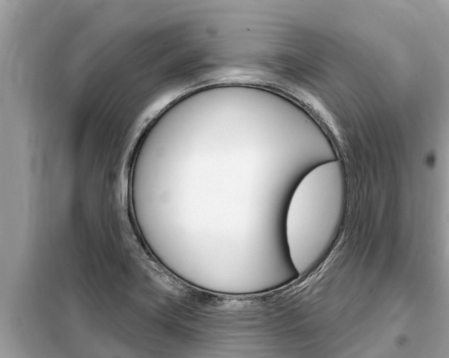 X0000099301419200805020746