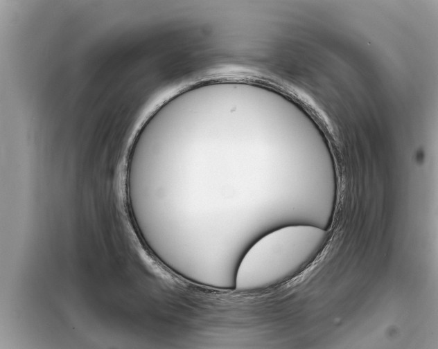 X0000099301421200805020746
