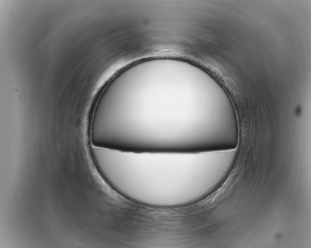 X0000099301422200805020746