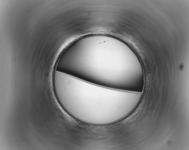 X0000099301424200805020746