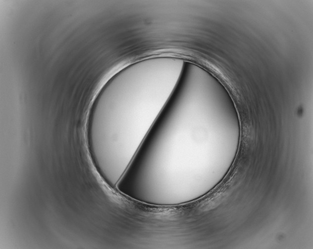 X0000099301426200805020746