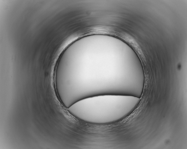X0000099301427200805020746