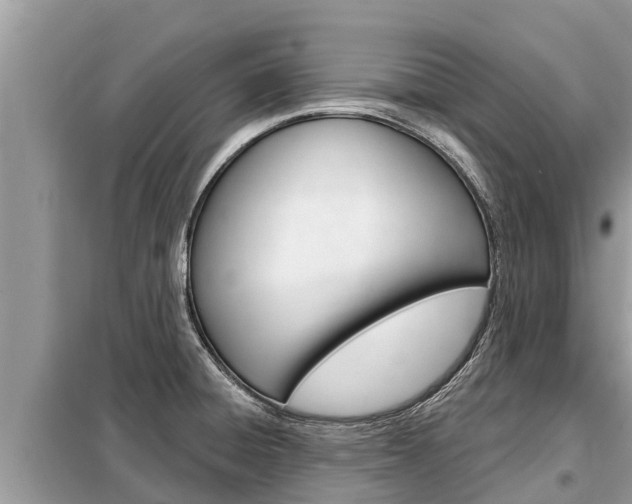 X0000099301428200805020746