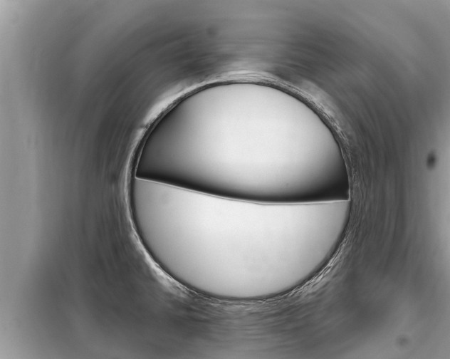 X0000099301430200805020746