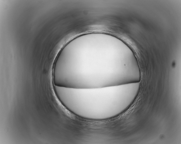 X0000099301431200805020746