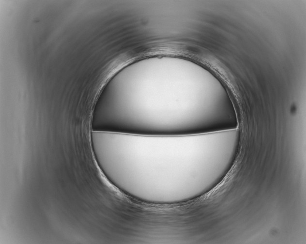 X0000099301433200805020746