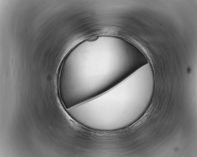 X0000099301434200805020746