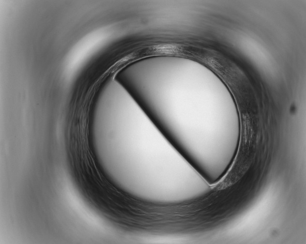X0000099301438200805020746