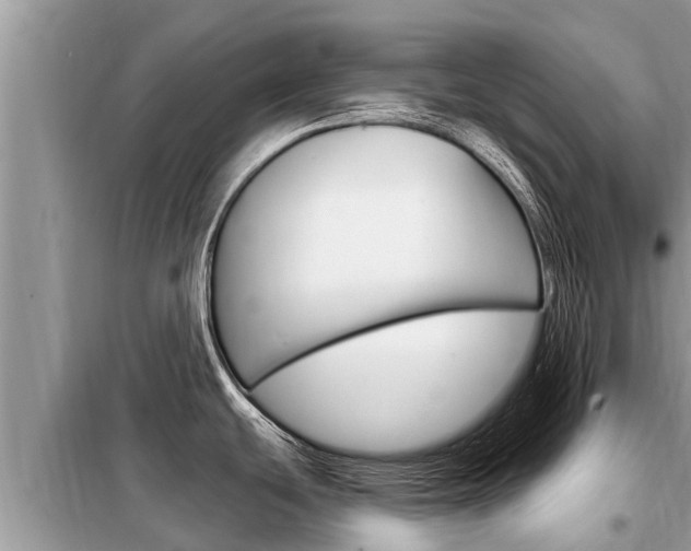 X0000099301439200805020746