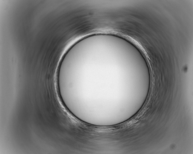 X0000099301440200805020746