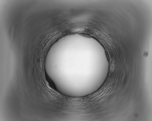 X0000099301441200805020746