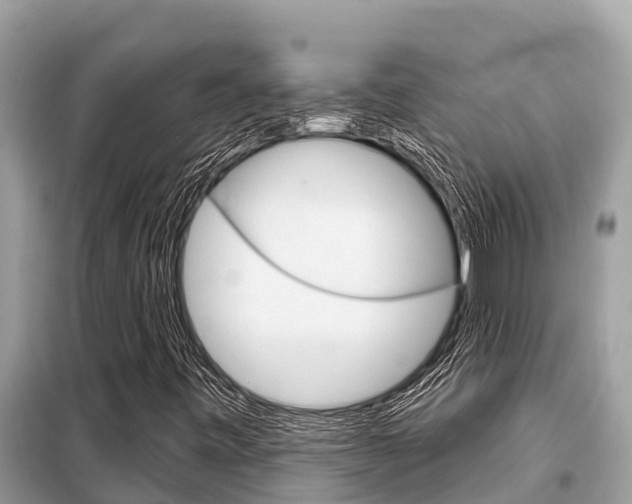 X0000099301443200805020745