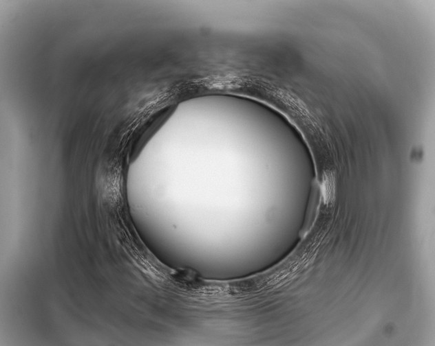 X0000099301444200805020745