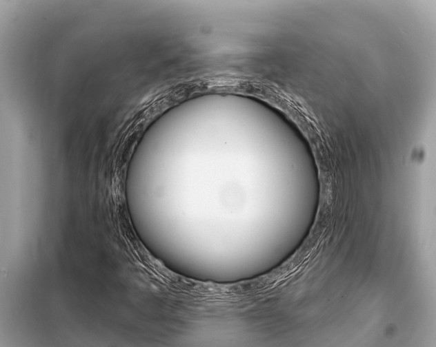 X0000099301445200805020745