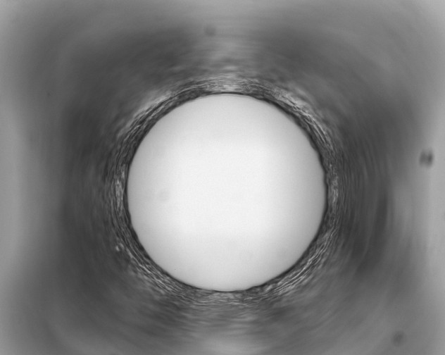 X0000099301446200805020745
