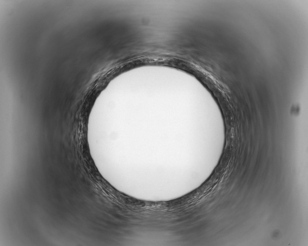 X0000099301447200805020745