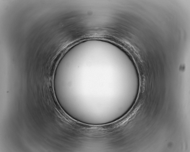 X0000099301449200805020745