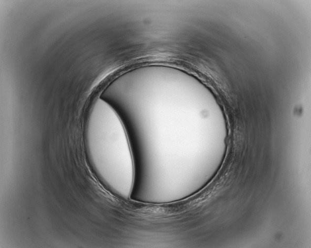 X0000099301450200805020745