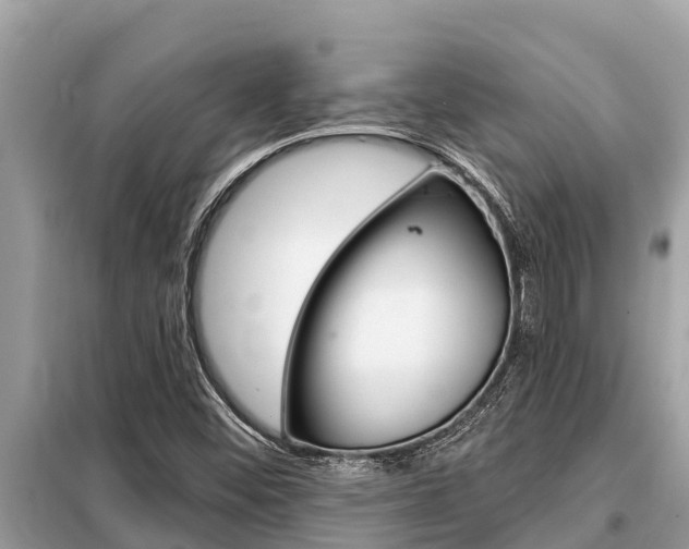X0000099301452200805020745