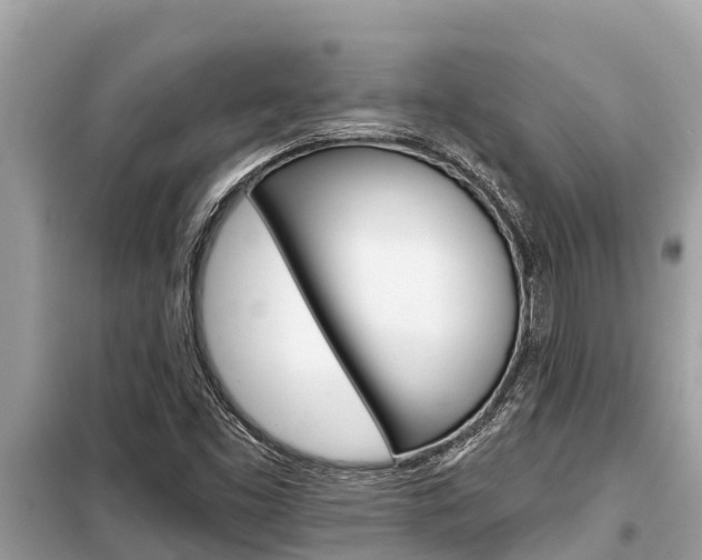 X0000099301453200805020745