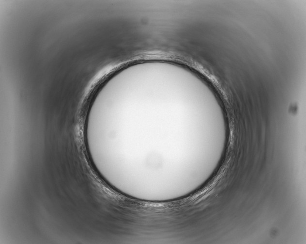 X0000099301454200805020745