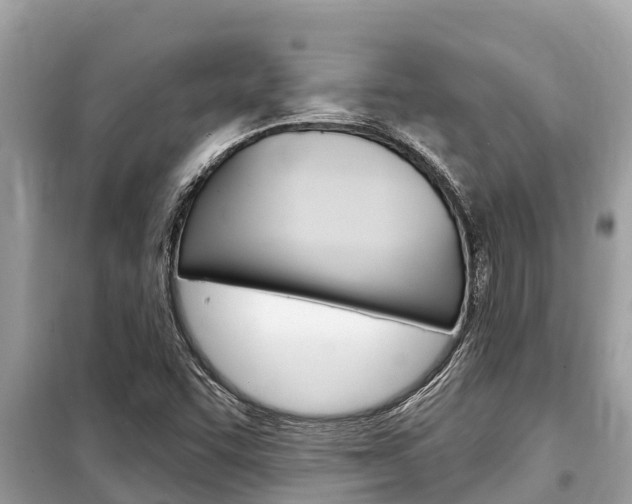 X0000099301455200805020745