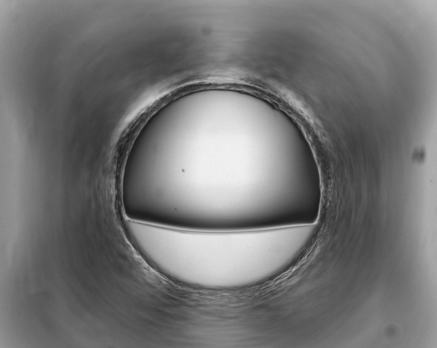 X0000099301456200805020745