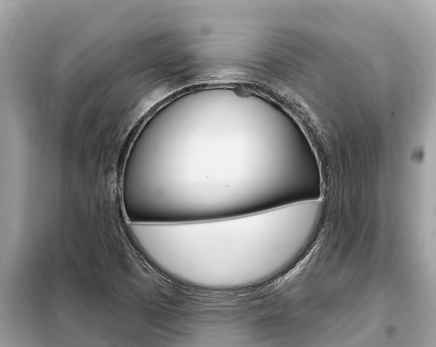 X0000099301457200805020745
