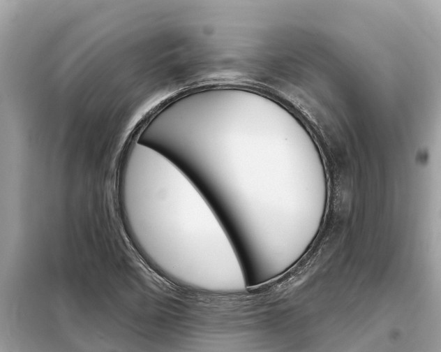 X0000099301458200805020745
