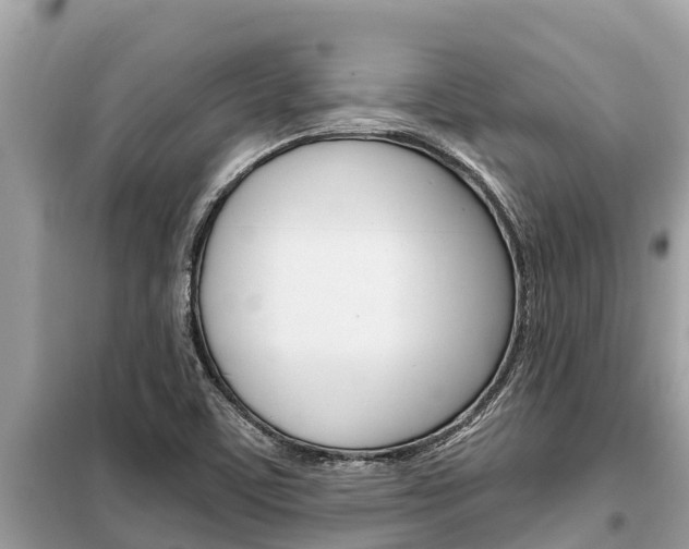 X0000099301459200805020745