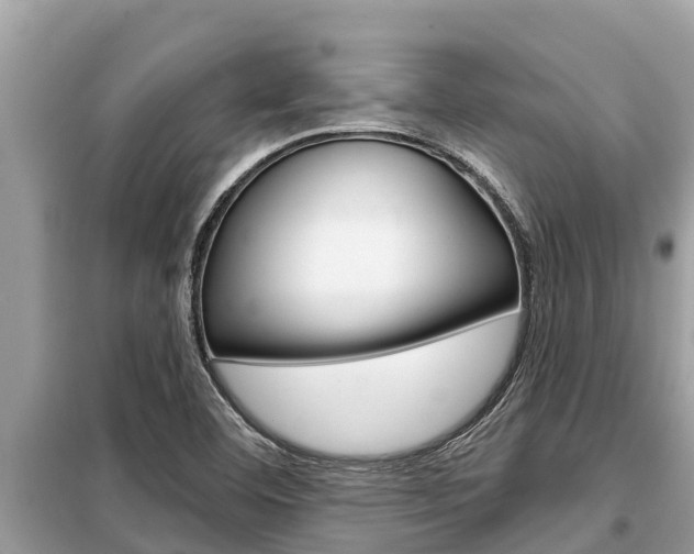 X0000099301460200805020745
