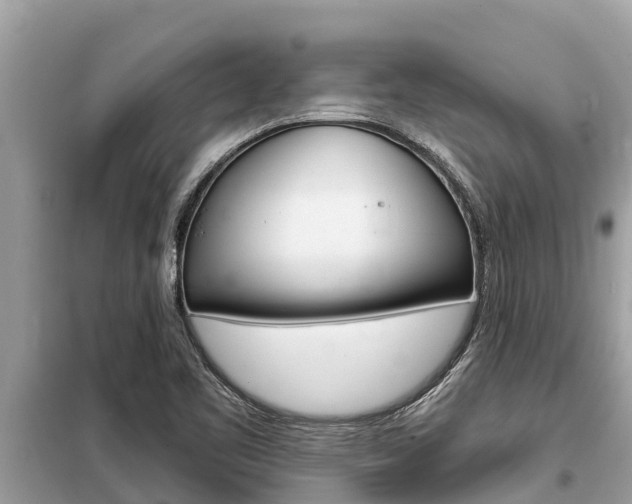 X0000099301461200805020745