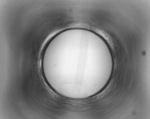 X0000099301462200805020745