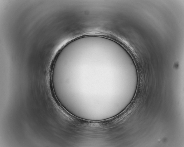 X0000099301463200805020745