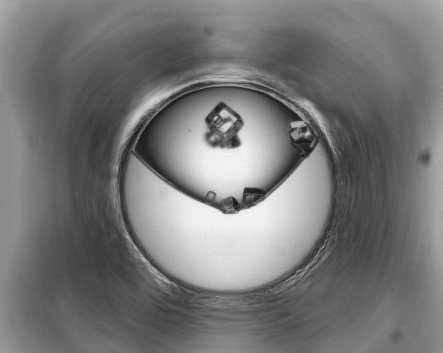 X0000099301464200805020745