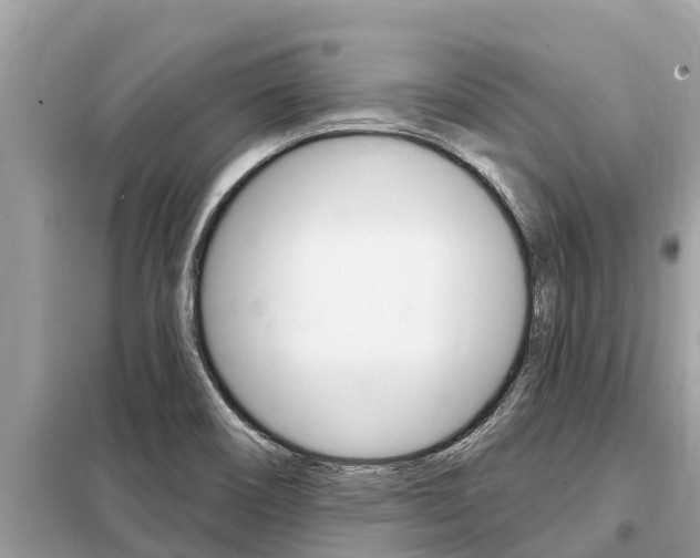 X0000099301466200805020745