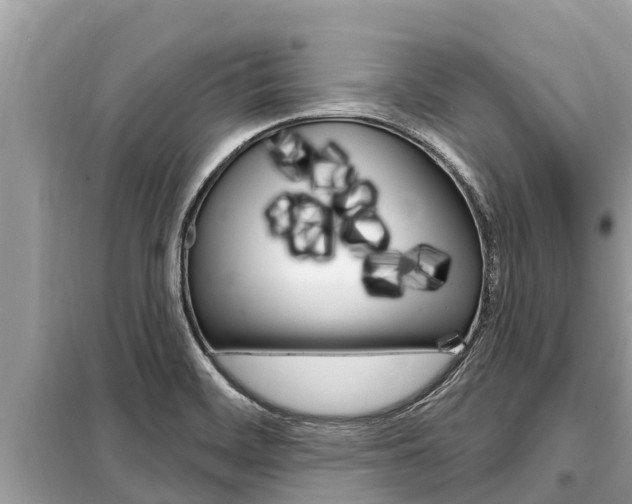 X0000099301468200805020745