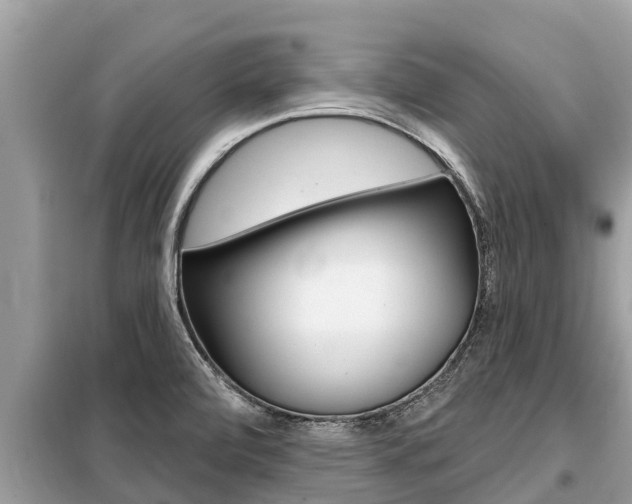 X0000099301472200805020745