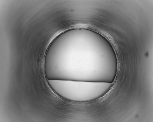 X0000099301473200805020745